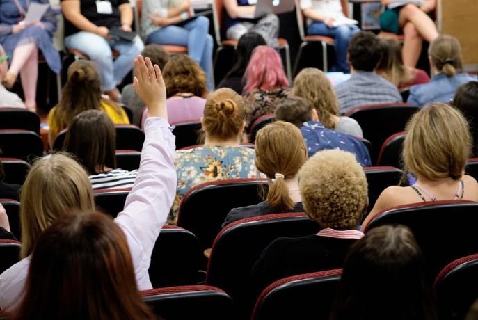 student with raised hand in class